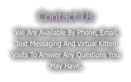 Contact Us  We are available by phone, Email, text messaging and virtual kitten visits to answer any questions you may have.