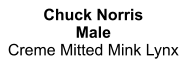 Chuck Norris Male Creme Mitted Mink Lynx