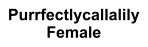 Purrfectlycallalily Female