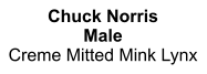 Chuck Norris Male Creme Mitted Mink Lynx