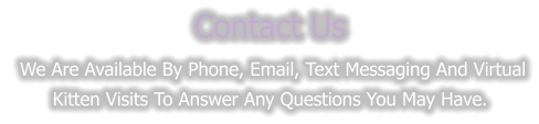 Contact Us  We are available by phone, Email, text messaging and virtual kitten visits to answer any questions you may have.